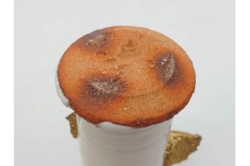 三輪和彦(十三代 三輪休雪)　匠の趣向が光る金耳盃(萩焼、耳付、杯、酒器、裏印、ウコン布付き、共箱付き)(R-082753)