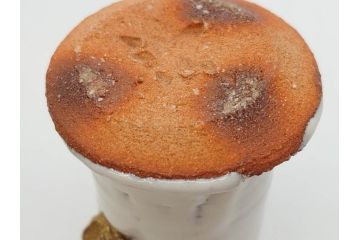 三輪和彦(十三代 三輪休雪)　匠の趣向が光る金耳盃(萩焼、耳付、杯、酒器、裏印、ウコン布付き、共箱付き)(R-082753)