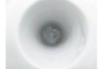 江戸期　古伊万里　染付　竹林七賢人図　細かな絵付けが見事な盃洗(杯洗、花鳥図、フルーツボウル、コンポート、高台皿、台鉢、和食器)(R-082757)