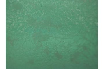 時代物　大正〜昭和初期　結霜ガラス　緑　レトロな雰囲気を醸し出すガラスボウル(硝子、グリーン、深皿)(R-082762)