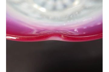 当時物　大正〜昭和初期　菖蒲に蝶文　赤縁　乳白色　輪花　アイスクリームコップ　優雅な佇まいの氷コップ(あやめ、花、小鉢、吹きガラス、硝子、深皿)(R-082785)