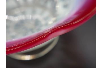 当時物　大正〜昭和初期　菖蒲に蝶文　赤縁　乳白色　輪花　アイスクリームコップ　優雅な佇まいの氷コップ(あやめ、花、小鉢、吹きガラス、硝子、深皿)(R-082785)