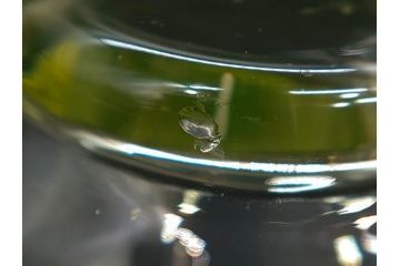 大正〜昭和初期　当時物　ウランガラス　独特な色味が魅力のグラス6客セット(コップ、硝子、和ガラス)(R-082802)