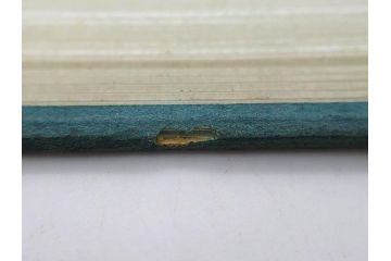希少　大正〜昭和初期　当時物　「氷 ブドー」　「氷 いちご」　ガラス看板2点セット(広告、店頭用、硝子製、昭和レトロ、ディスプレイ、カキ氷、ぶどう)(R-082815)