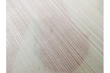 希少　大正〜昭和初期　当時物　「氷 レモン」「氷 しるこ」　ガラス看板2点セット(広告、店頭用、硝子製、昭和レトロ、ディスプレイ、カキ氷、志る古)(R-082816)
