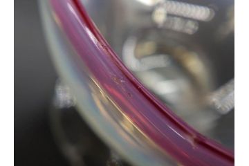 大正期　碗型　乳白ぼかし　赤縁　輪花　エナメル脚　柔らかい色合いに惹かれる氷コップ2客セット(グラス、硝子、和ガラス)(R-082882)