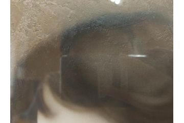 真作　中原脩　「少女」　F6(6号)　絵画(油彩、油絵、人物画、サイン入り、額装、外箱付)(R-082920)