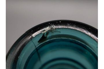 大正〜昭和初期　レトロ　エンボス　時を重ねた味わ深いガラス瓶6点セット(ソースボトル、白玉、三ツ矢、カゴメ、フマキラー、和ガラス、硝子、ビン、ボトル、花瓶、花入、花生、花器、一輪挿し)(R-082931)
