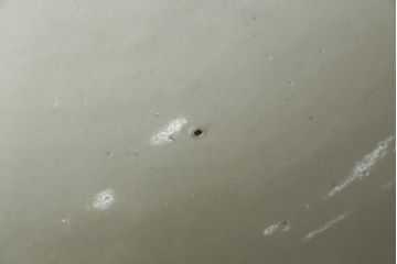 和製アンティーク　超特大!!　花器に最適!!　明治期　伊万里　白磁　古い造り酒屋の味わい深い大酒甕(酒壺、酒器、かめ、つぼ、壷)(R-083014)