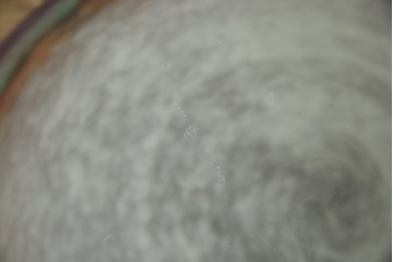 フランスアンティーク　アールヌーヴォー　アール・デコ期　ミューラー兄弟(Muller Freres Luneville)　優美な色彩でヨーロッパ的な品格と温もりを感じる吊り下げ照明　(R-083019)