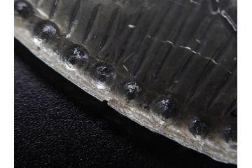 戦前　プレスガラス　ガーター勲章　様々なデザインが楽しめるガラス皿4枚セット(小皿、花、和ガラス、硝子)(R-083034)