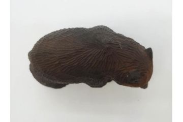 八雲　十倉金之(兼行)　ガラス目　木彫りの熊(やくも、くま、クマ、置物、ディスプレイ)(R-083072)