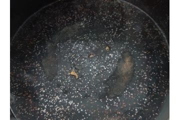 時代物　大名道具　金蒔絵　梨地　阿古陀　香炉(花唐草、籠目火屋、木製、漆器、漆芸、仏具、茶道具、木箱付き)(R-083127)