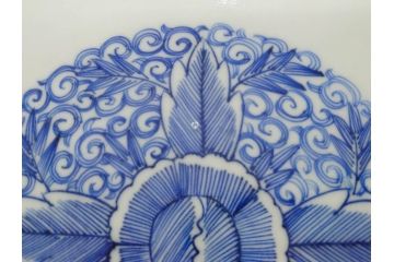 江戸期　古伊万里　染付　線描　花唐草　約41cm　1尺3寸　食卓を爽やかに彩る大皿(和皿、和食器、一尺三寸)(R-083133)