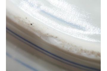 江戸期　古伊万里　染付　線描　花唐草　約41cm　1尺3寸　食卓を爽やかに彩る大皿(和皿、和食器、一尺三寸)(R-083133)