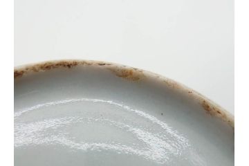 江戸期　古伊万里　染付　渦福　様々な用途に使える猪口4客セット(ススキ、竹、五葉若葉、そば猪口、蕎麦猪口、酒器、杯、盃、おちょこ、湯呑み、湯のみ、和食器)(R-083134)
