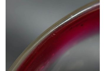 当時物　大正〜昭和初期　棗(なつめ)型　輪花　乳白ぼかし　赤縁　青縁　レトロな雰囲気漂う氷コップ3客セット(なつめ形、吹きガラス、硝子、グラス、和ガラス)(R-083145)