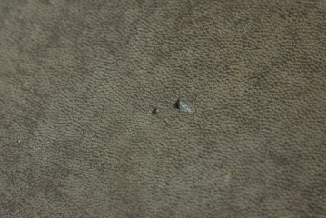 イギリスアンティーク　オーク材　真鍮(しんちゅう)製ギャラリーレール(天飾り)付き　意匠を凝らしたレザートップデスク　(R-083192)