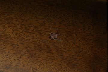 中古　美品　maruni(マルニ木工)　地中海ロイヤル(ROYAL)　クラシカルな雰囲気が魅力的なテレビ台(サイドボード、サイドキャビネット、リビングボード、ローボード、収納棚、戸棚)(R-083206)