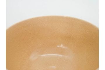 十六代 永楽善五郎　色絵　早春　茶道具　約12cm　4寸　静謐な美しさを感じさせる茶碗(梅、金彩、抹茶碗、茶器、茶陶、裏印、和食器、共箱付、四寸)(R-083284)
