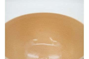 十六代 永楽善五郎　色絵　早春　茶道具　約12cm　4寸　静謐な美しさを感じさせる茶碗(梅、金彩、抹茶碗、茶器、茶陶、裏印、和食器、共箱付、四寸)(R-083284)