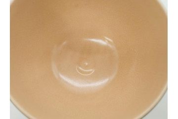 十六代 永楽善五郎　色絵　早春　茶道具　約12cm　4寸　静謐な美しさを感じさせる茶碗(梅、金彩、抹茶碗、茶器、茶陶、裏印、和食器、共箱付、四寸)(R-083284)