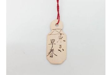 十六代 永楽善五郎　色絵　早春　茶道具　約12cm　4寸　静謐な美しさを感じさせる茶碗(梅、金彩、抹茶碗、茶器、茶陶、裏印、和食器、共箱付、四寸)(R-083284)