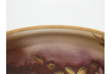 明治〜大正期　オールドノリタケ　NORITAKE　木の実　金彩　金盛　ハンドペイント　自然モチーフが繊細な筆致と豊かな色彩で描かれた優雅な雰囲気のボウル(深皿、鉢、プレート、洋食器)(R-083291)