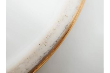 明治〜大正期　オールドノリタケ　NORITAKE　木の実　金彩　金盛　ハンドペイント　自然モチーフが繊細な筆致と豊かな色彩で描かれた優雅な雰囲気のボウル(深皿、鉢、プレート、洋食器)(R-083291)
