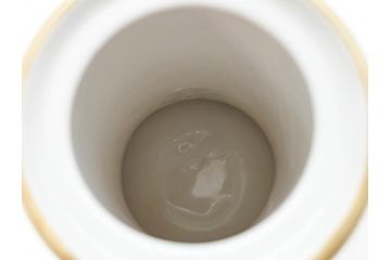 大正〜昭和初期　オールドノリタケ　NORITAKE　意匠登録　金彩　金盛　No.175　ハンドペイント　上品で華やかな佇まいのコーヒーポット・カップ&ソーサー・ソルト&ペッパーシェーカー・プレート2枚セット(デミタス、オーバル、深皿、C&S、洋食器)(R-083293)