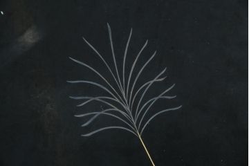 中古　民芸家具　高級品　総漆塗り　金彩秋草蒔絵　小振りサイズが珍しい!淑やかな佇まいの座卓(ローテーブル、センターテーブル、リビングテーブル)(R-083307)