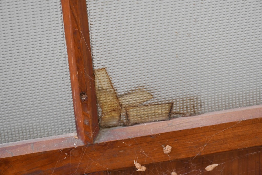 ヴィンテージ建具　昭和中期　和の雰囲気を引き立てるガラス戸2枚セット　(R-083406)