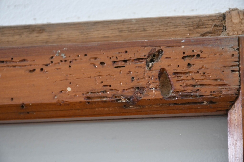 ヴィンテージ建具　昭和中期　ひし形を描く格子意匠のガラス戸4枚セット　(R-083411)