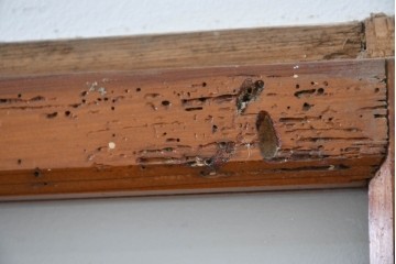 ヴィンテージ建具　昭和中期　ひし形を描く格子意匠のガラス戸4枚セット　(R-083411)