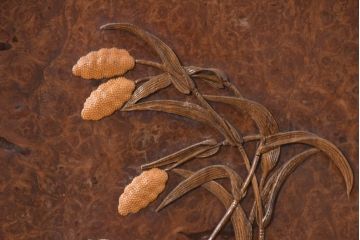 和製ビンテージ　超美品　最高級　シタン(紫檀)材とカリン(花梨)材　鳥眼杢を背景に竹の意匠と花蝶図の彫刻が映える雅な衝立て(衝い立て、パーテーション、仕切り、ヴィンテージ)(R-083423)