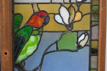 和製アンティーク　大正ロマン　芸術作品として観賞用にもぴったりの花鳥(木蓮とインコ)を描いたステンドグラス窓2枚セット(建具、明り取り、ガラス戸、ディスプレイ、アート)(R-083435)