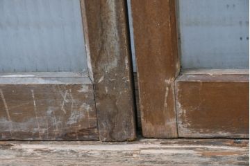 和製アンティーク　大正ロマン　芸術作品として観賞用にもぴったりの花鳥(木蓮とインコ)を描いたステンドグラス窓2枚セット(建具、明り取り、ガラス戸、ディスプレイ、アート)(R-083435)
