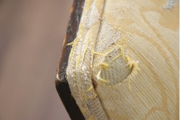 和製アンティーク　大正ロマン　古い洋館で使われていた彫刻入りチェア　(R-083456)