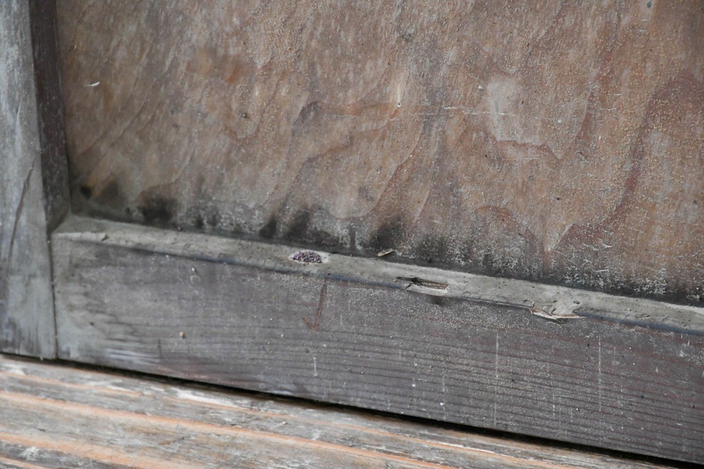 アンティーク建具　昭和初期　裏障子と裏ガラスを組み込んだ古い木味の格子戸3枚セット　(R-083475)