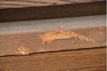 ヴィンテージ建具　昭和中期　涼し気な格子組みの夏戸3枚セット　(R-083495)