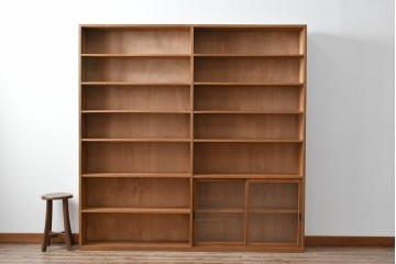 和製アンティーク　希少デザイン!!　収納棚付きのレトロな薄型シェルフ　(R-083539)