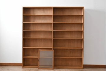 和製アンティーク　希少デザイン!!　収納棚付きのレトロな薄型シェルフ　(R-083539)