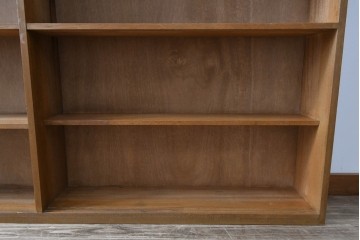 和製アンティーク　希少デザイン!!　収納棚付きのレトロな薄型シェルフ　(R-083539)