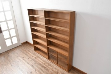 和製アンティーク　希少デザイン!!　収納棚付きのレトロな薄型シェルフ　(R-083539)