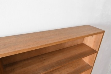 和製アンティーク　希少デザイン!!　収納棚付きのレトロな薄型シェルフ　(R-083539)