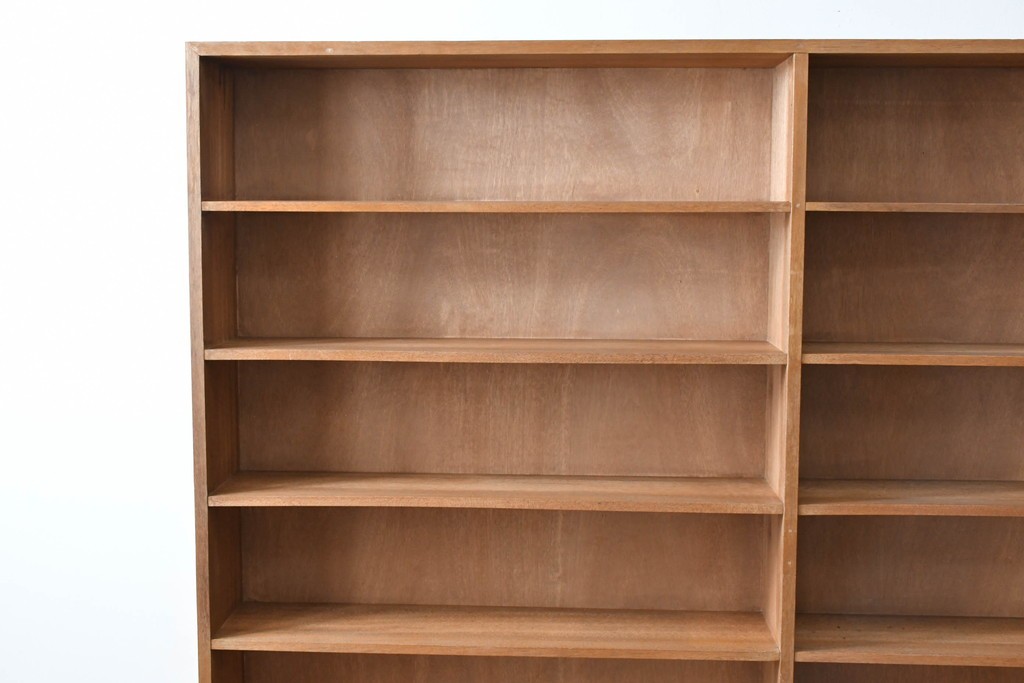 和製アンティーク　希少デザイン!!　収納棚付きのレトロな薄型シェルフ　(R-083539)