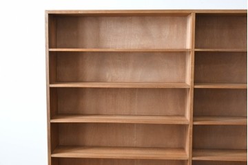 和製アンティーク　希少デザイン!!　収納棚付きのレトロな薄型シェルフ　(R-083539)