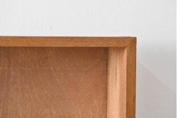 和製アンティーク　希少デザイン!!　収納棚付きのレトロな薄型シェルフ　(R-083539)