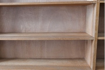 和製アンティーク　希少デザイン!!　収納棚付きのレトロな薄型シェルフ　(R-083539)