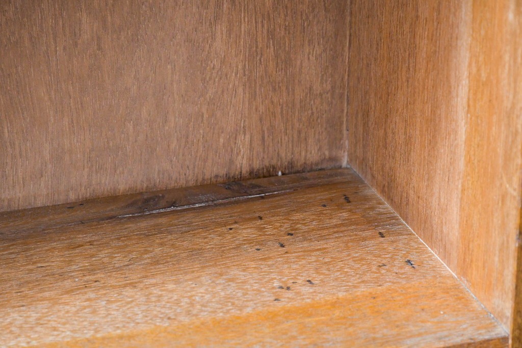 和製アンティーク　希少デザイン!!　収納棚付きのレトロな薄型シェルフ　(R-083539)